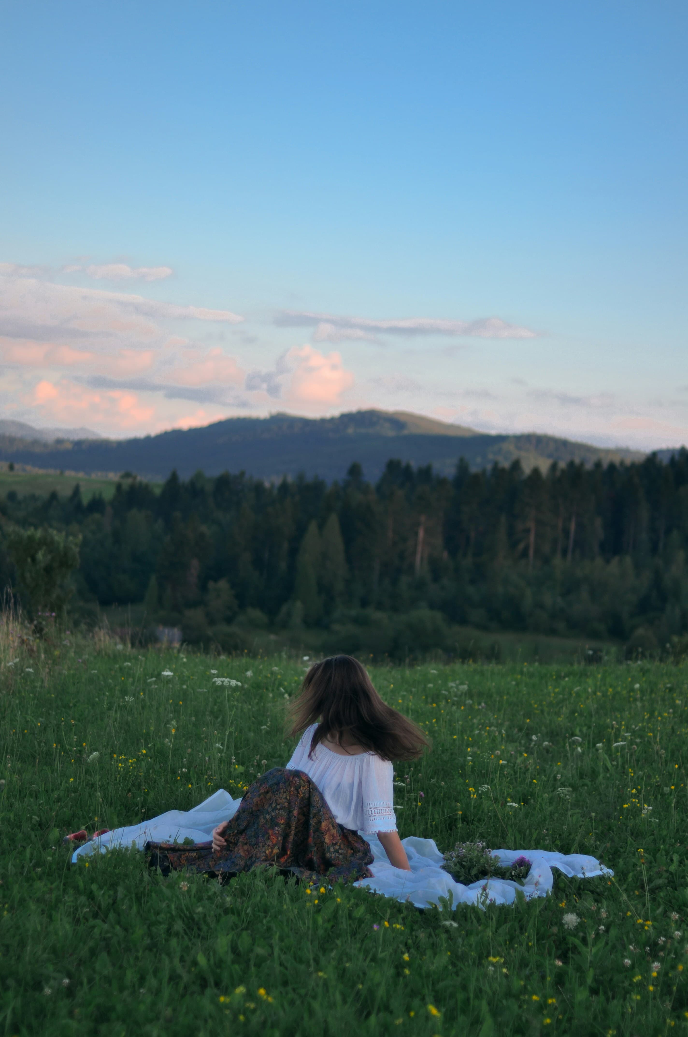 A person sitting in a meadow at dusk with their back to the camera
